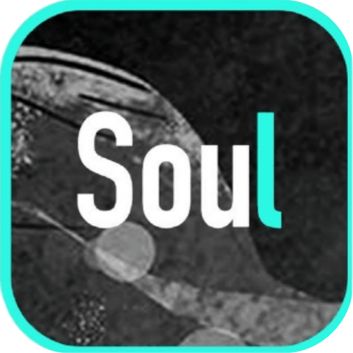 Soul币LOGO